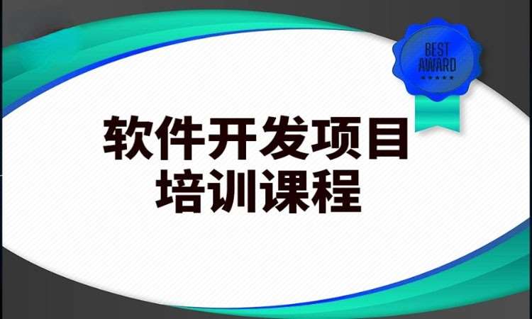 天津东软睿道·软件开发培训班