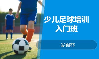 上海儿童足球培训机构