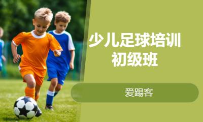 上海儿童足球班
