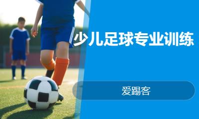 上海青少年培训足球机构