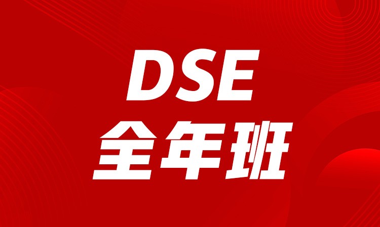 杭州DSE全年班