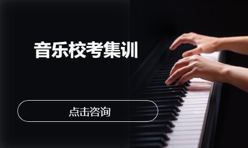 南京音乐校考集训