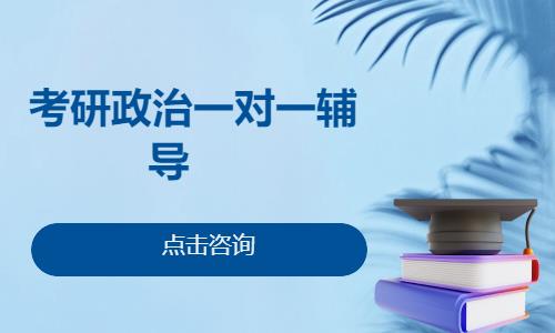 考研政治一对一辅导    