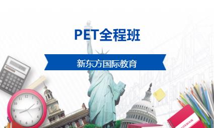 东莞PET全程班