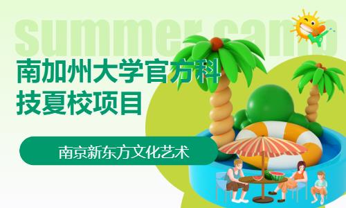 南京海外游学夏令营