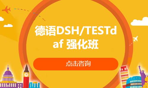 德语DSH/TESTdaf   强化班