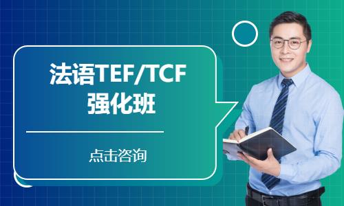 法语TEF/TCF     强化班