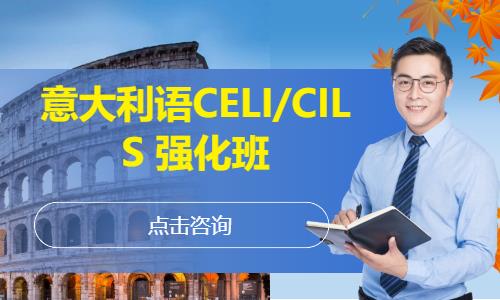 意大利语CELI/CILS    强化班