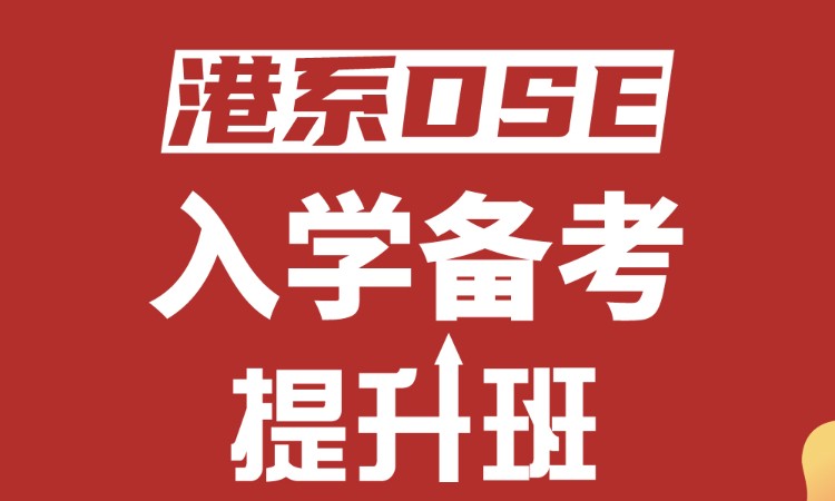 港系DSE入学备考提升班