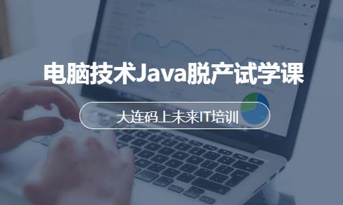 电脑技术Java脱产试学课