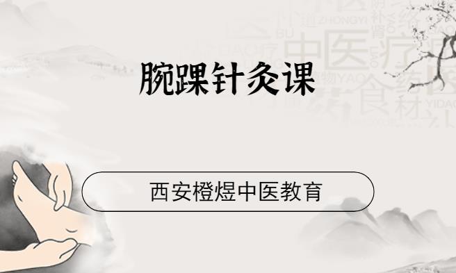 西安针灸推拿培训中心