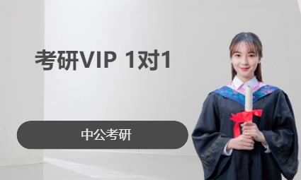 成都考研VIP 1对1