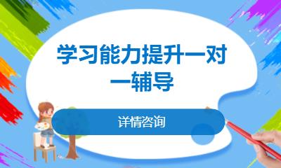 合肥学习能力提升一对一辅导