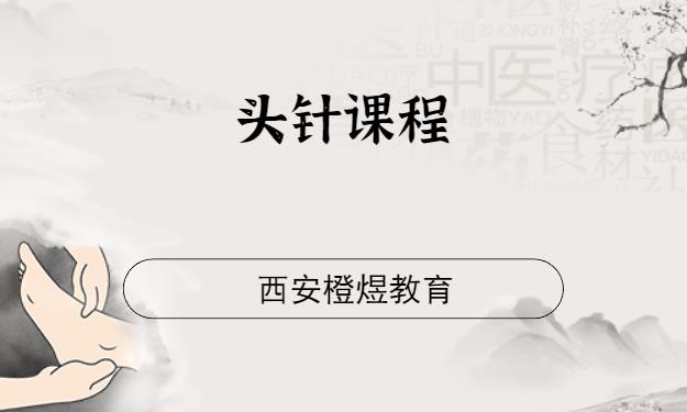 西安针灸师培训学校