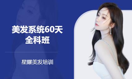 美发系统60天全科班