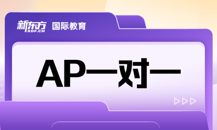 AP一对一VIP班