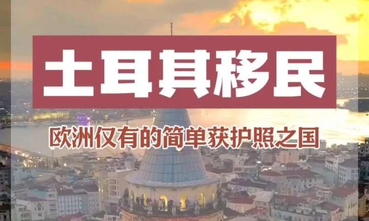 济南办理移民公司