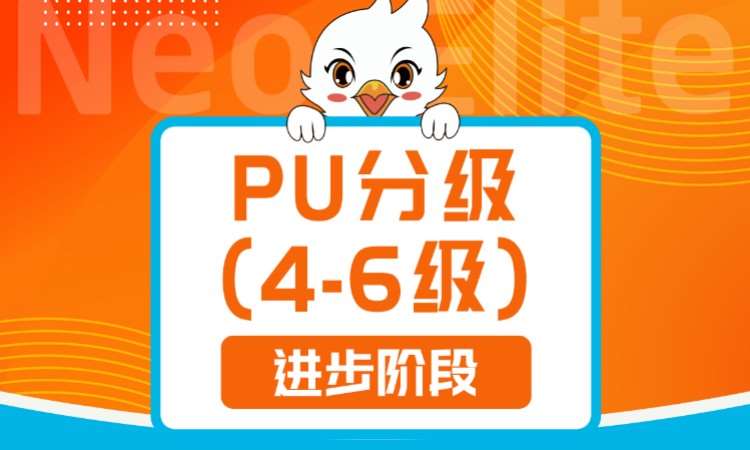 深圳PU分级(4-6级) 进步阶段