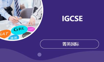 IGCSE