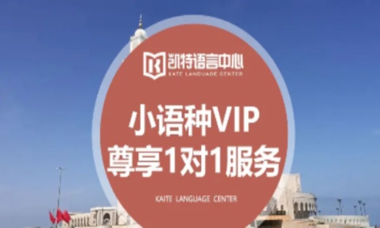 北京小语种VIP尊享1对1服务