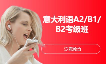 厦门意大利语A2/B1/B2考级班