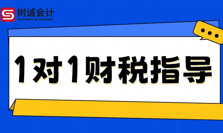 一对一财税指导