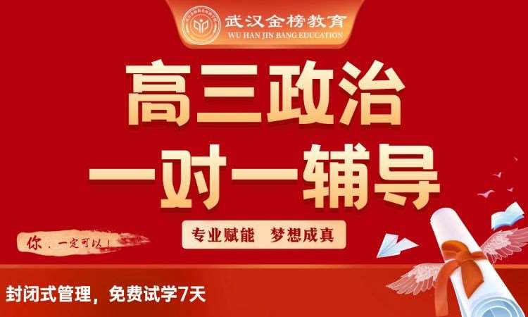 高三政治一对一规划