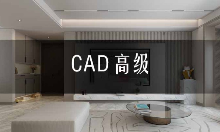 合肥CAD培训【高级】