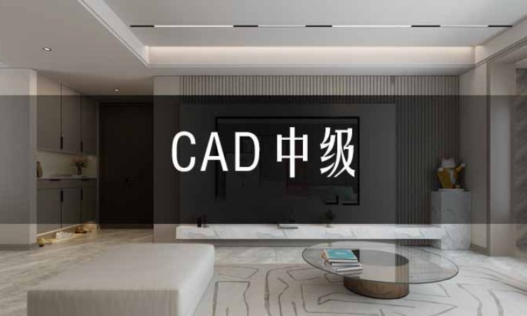 合肥CAD培训【中级】